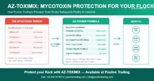 Read more about the article Mycotoxin Contamination in Poultry Feed: Dangers, Detection & How AZ-TOXIMIX Protects Your Flock