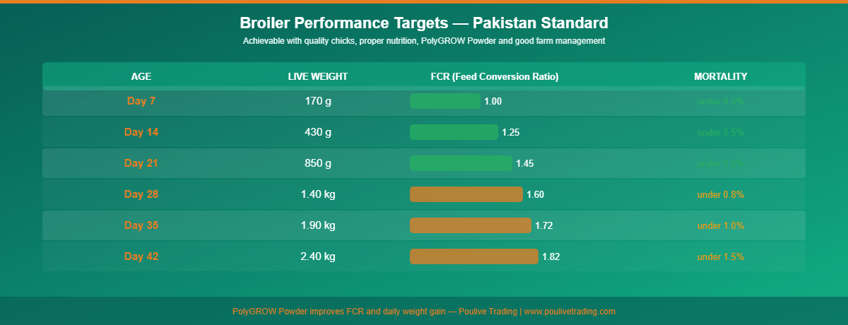 Key broiler performance targets infographic