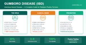 Read more about the article Complete Guide to Gumboro Disease in Poultry: Symptoms, Prevention & Treatment in Pakistan
