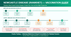 Read more about the article Newcastle Disease in Pakistan: Complete Vaccination Guide and Outbreak Management