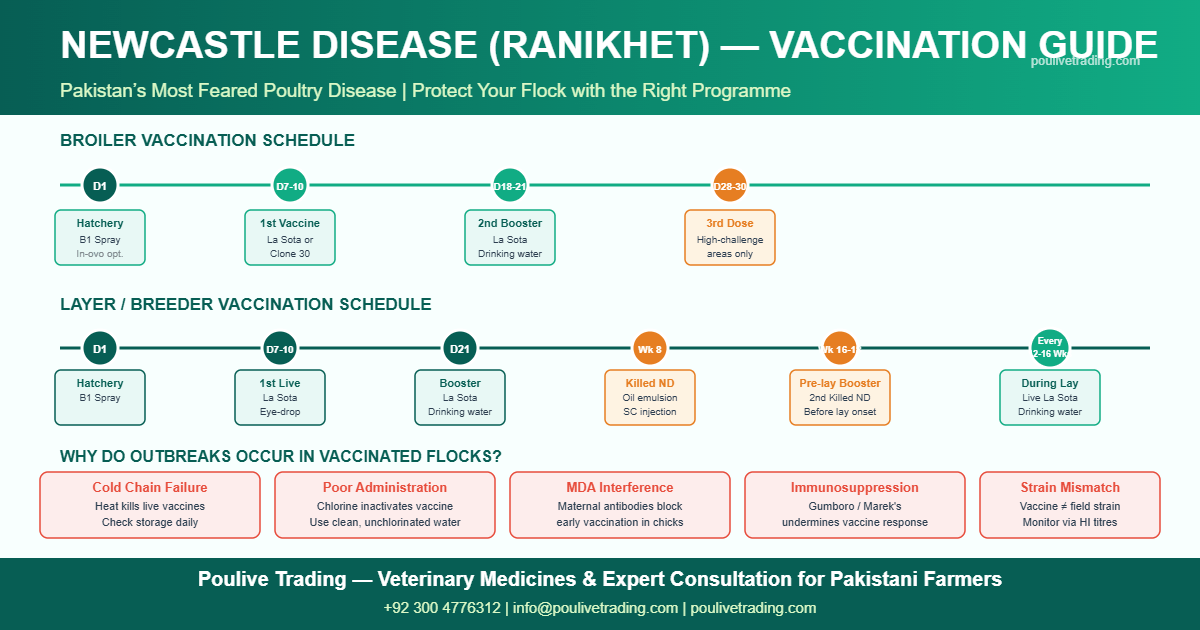 Newcastle Disease vaccination schedule for broilers and layers in Pakistan