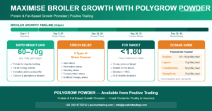 Read more about the article How to Maximise Broiler Growth in Pakistan: The Role of Protein & Fat-Based Feed Supplements
